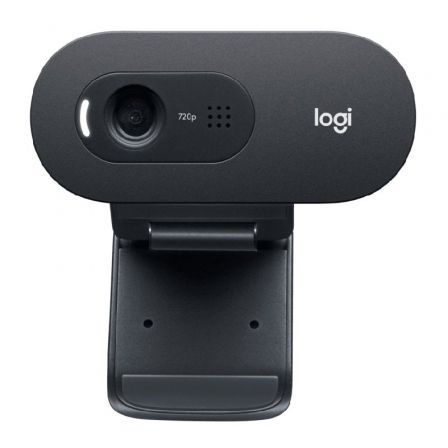 Logitech C505 HD Webcam Grafito